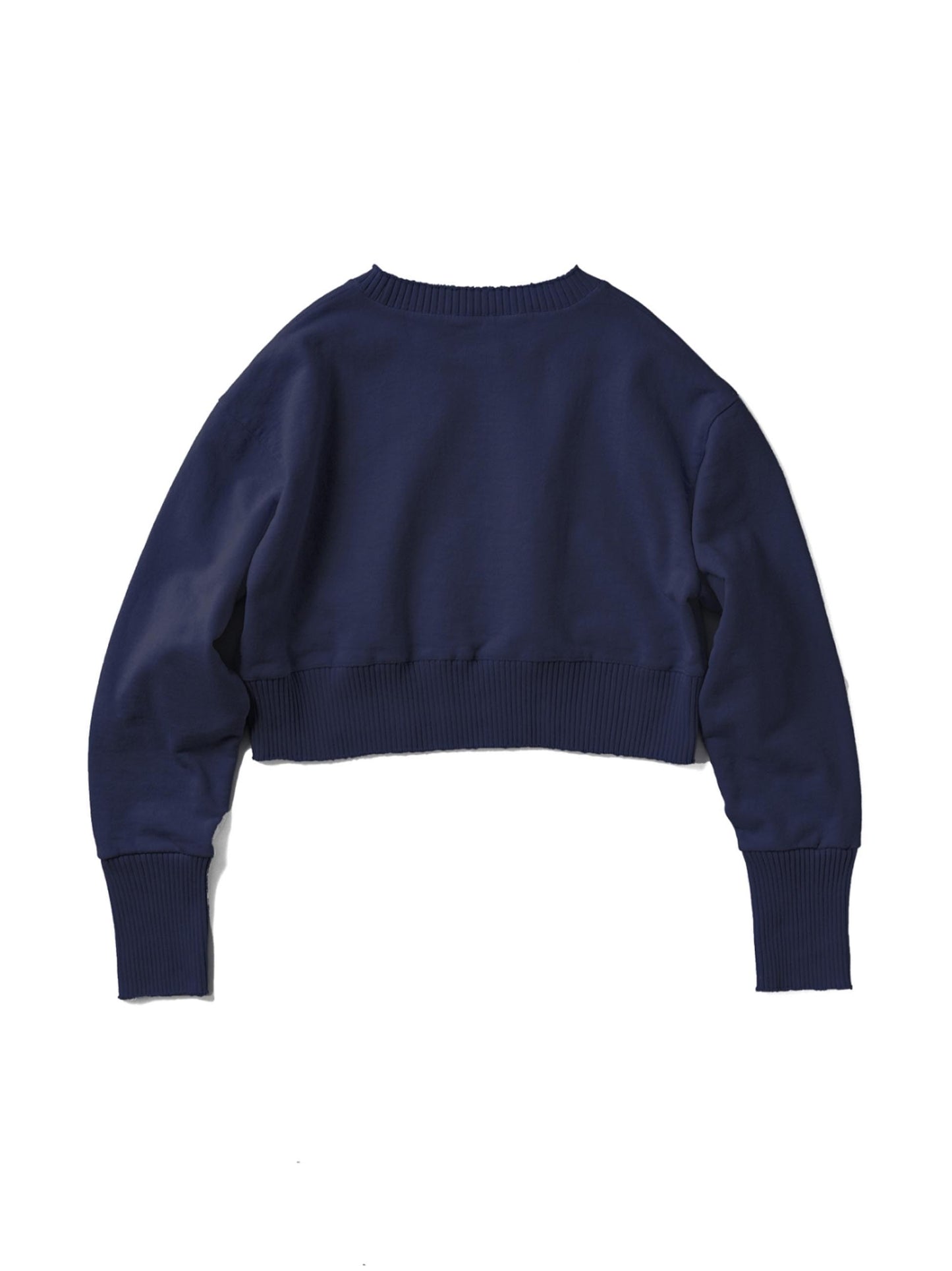 Strange Sleeve Cropped Sweat Shirts / Navy Purple(ストレンジスリーブ クロップド スウェット/ネイビーパープル)