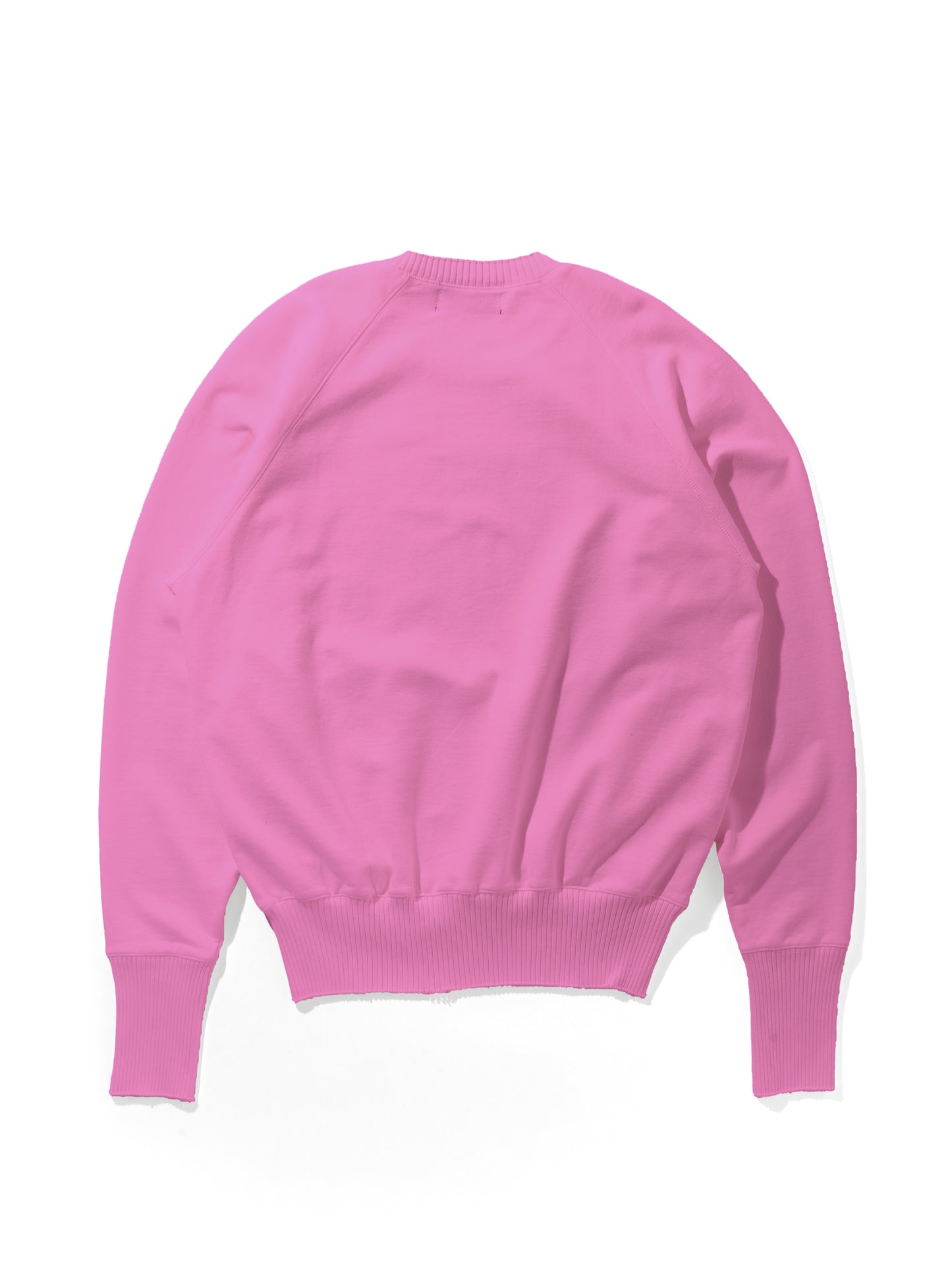 Strange Sleeve Crew Neck Sweat Shirt / Violet(ストレンジスリーブ クルーネック スウェット/バイオレット)