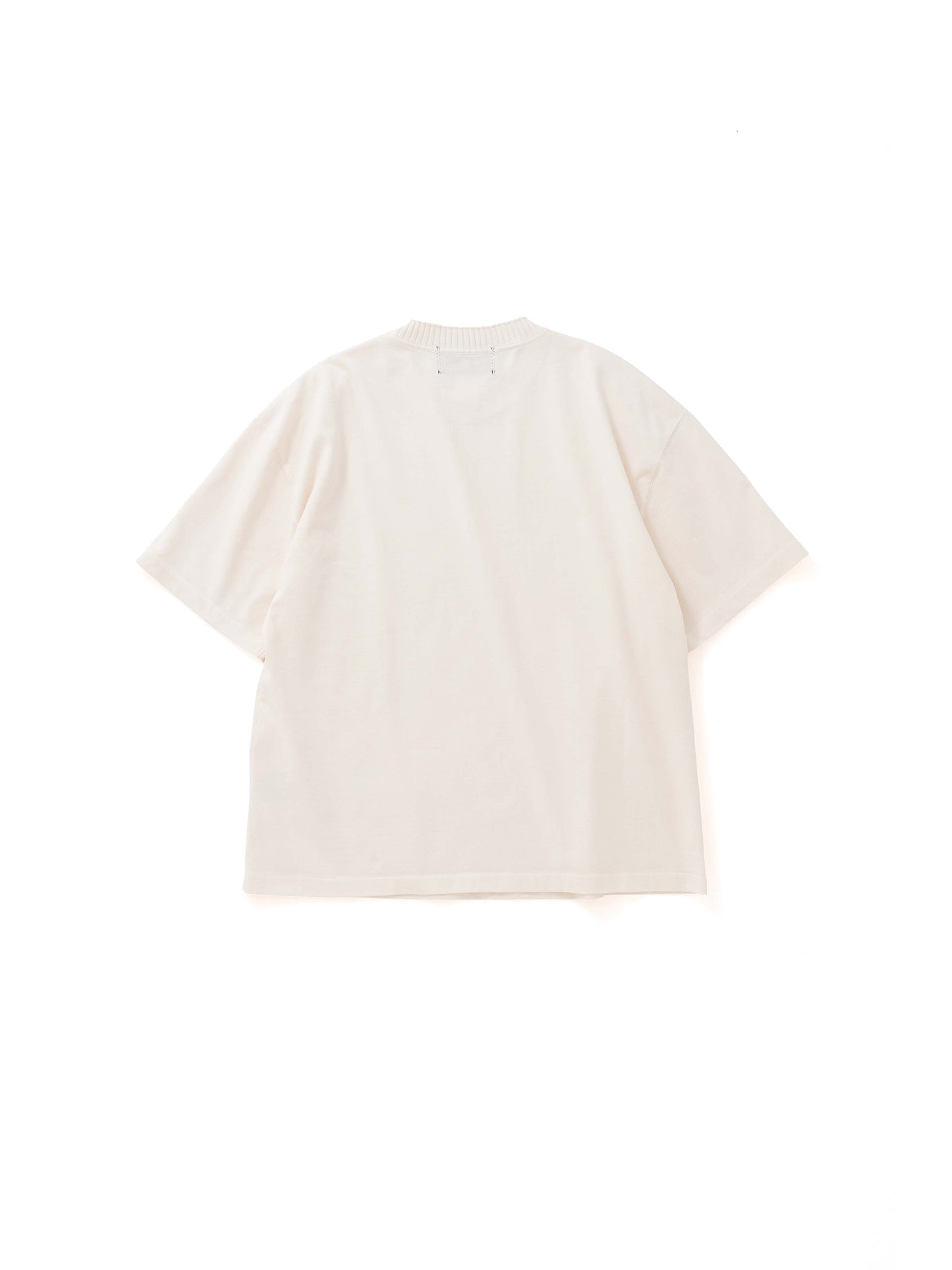 Basic Short Sleeve T Shirts / Ivory(ベーシックショートスリーブ ティーシャツ/アイボリー)