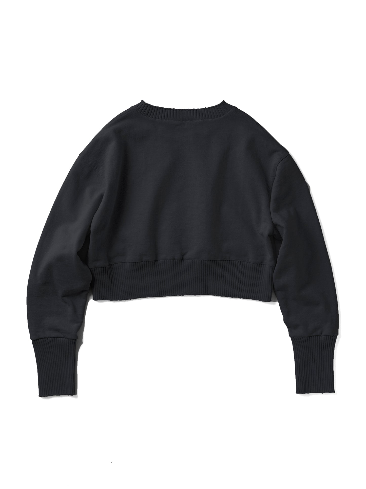 Strange Sleeve Cropped Sweat Shirts / Black(ストレンジスリーブ クロップド スウェット/ブラック)